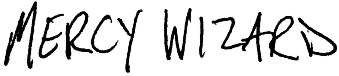 Mercy Wizard