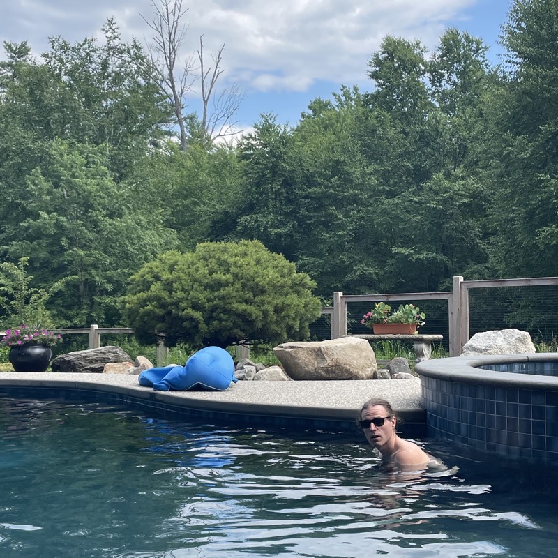 Cover art for The Feeling I Love: a man in sunglasses shoulder-deep in a swimming pool, looking at the camera, with a poolside boulder, a folded blue cover and dense summer trees behind him